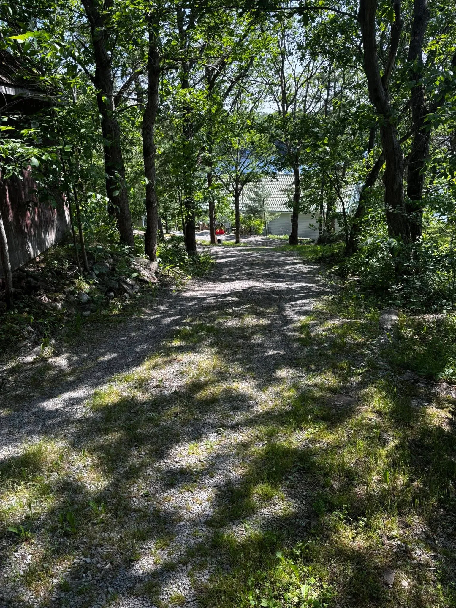 Wooded property access before grading