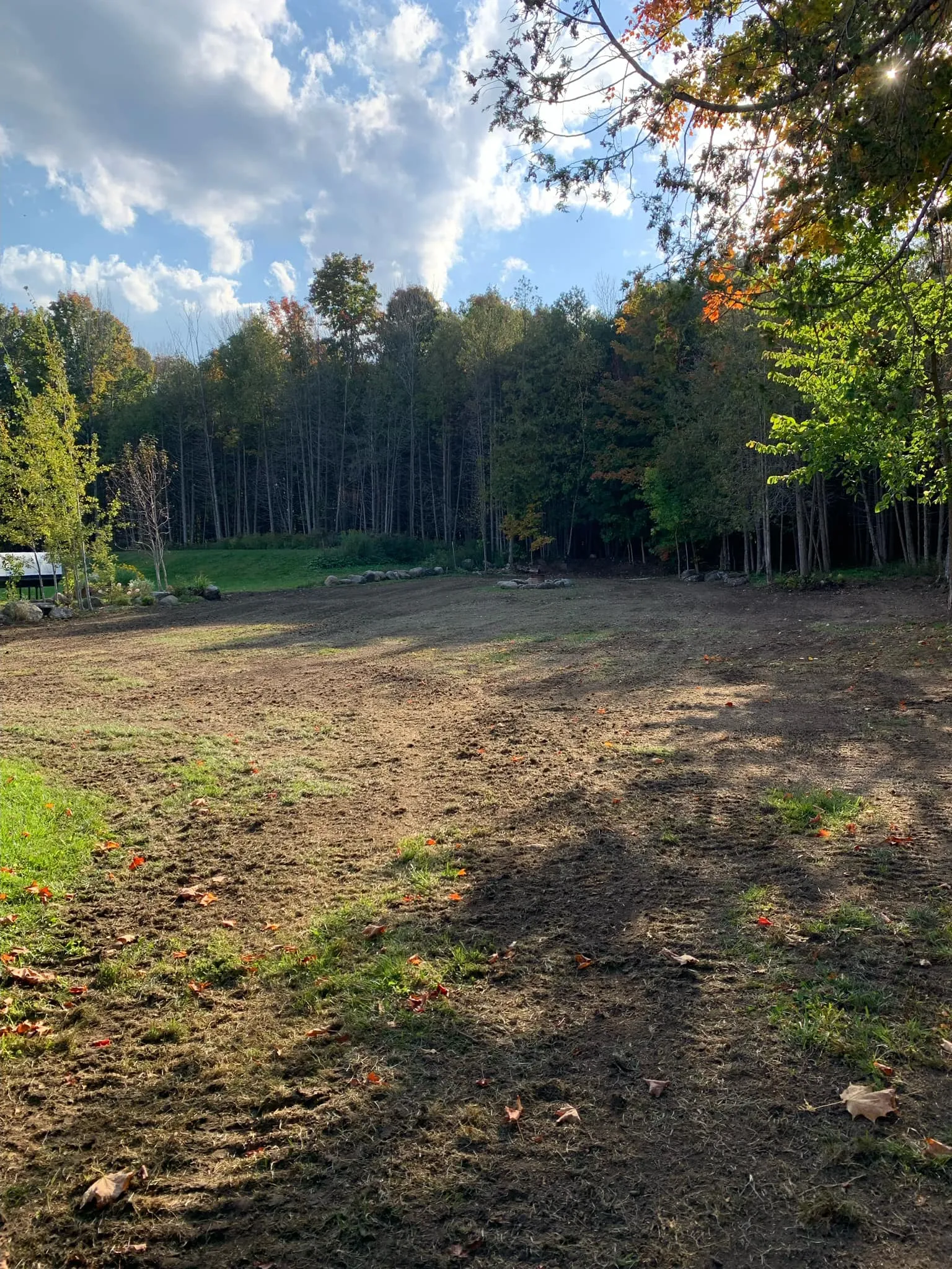 A newly cleared section of property bordered by trees